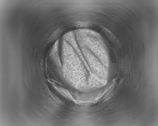X0000052930209200508050838