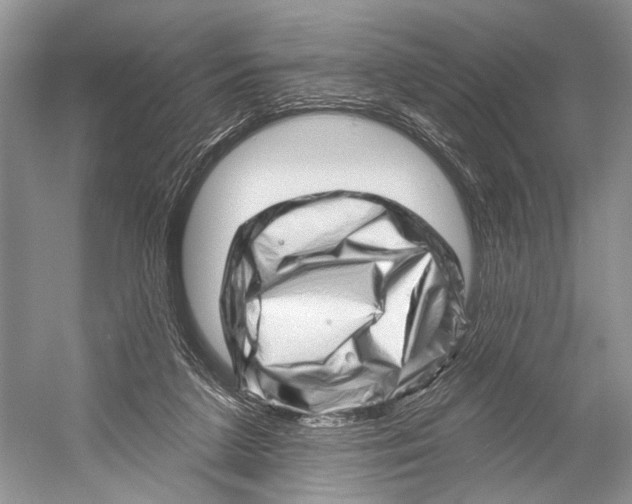 X0000052930211200508050838