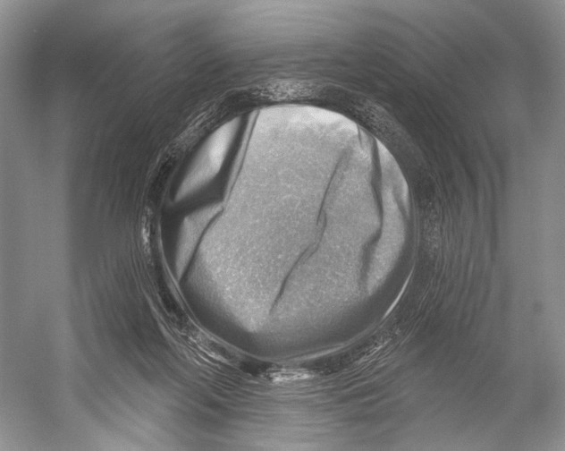 X0000052930214200508050838
