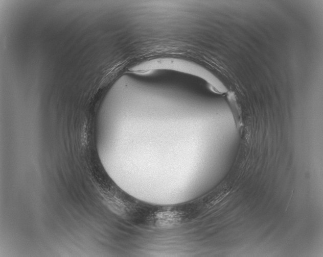 X0000052930216200508050838