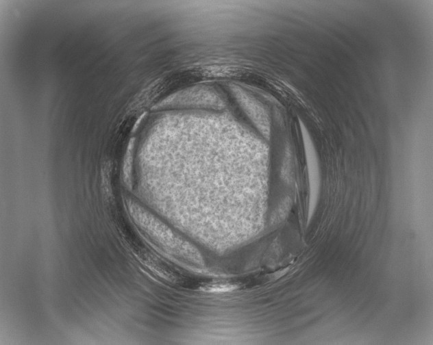 X0000052930217200508050838