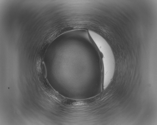X0000052930219200508050838