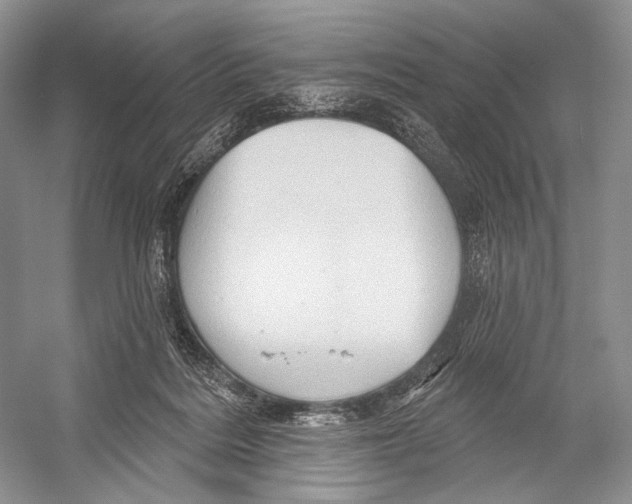 X0000052930220200508050838