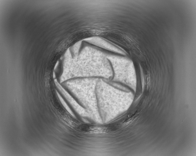 X0000052930221200508050838