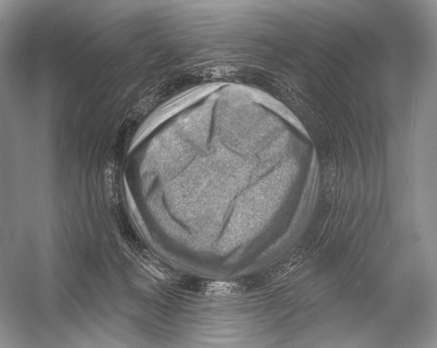 X0000052930222200508050838