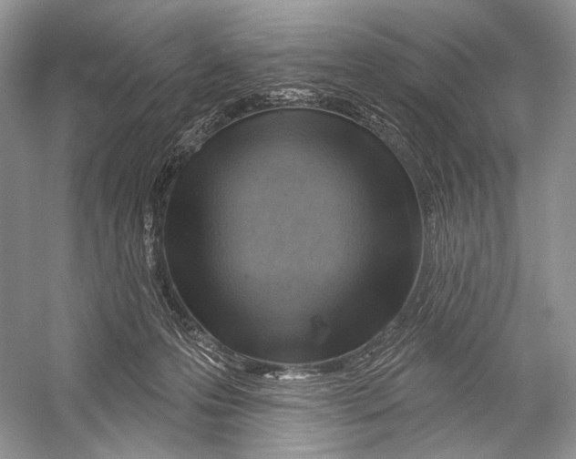 X0000052930223200508050838