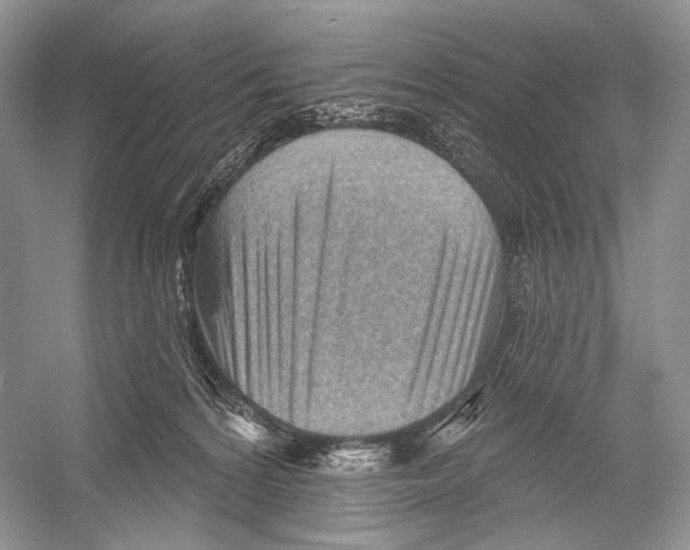 X0000052930224200508050838