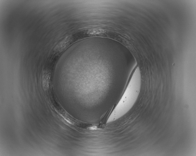 X0000052930227200508050838