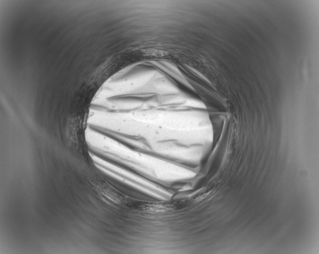 X0000052930229200508050838