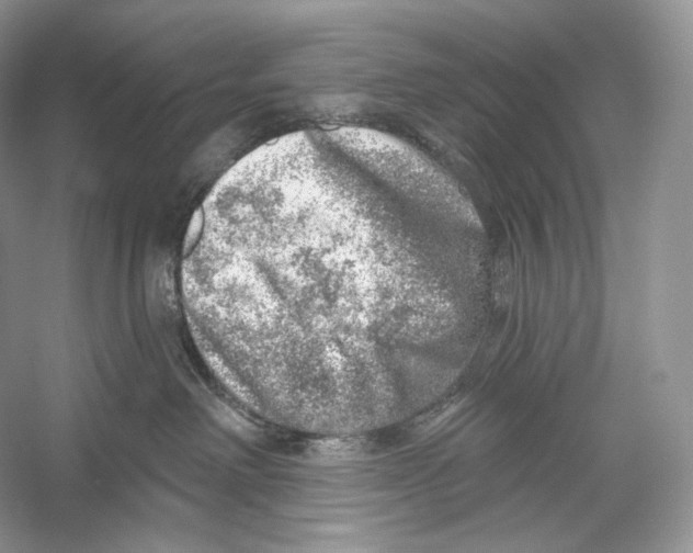 X0000052930238200508050838