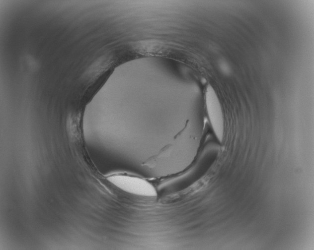 X0000052930239200508050837
