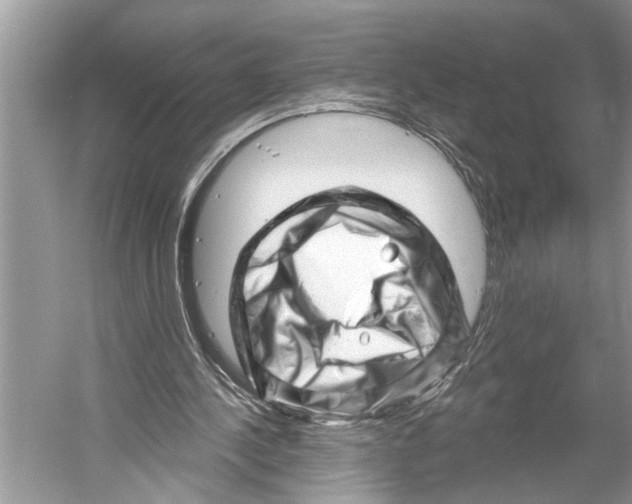 X0000052930244200508050837