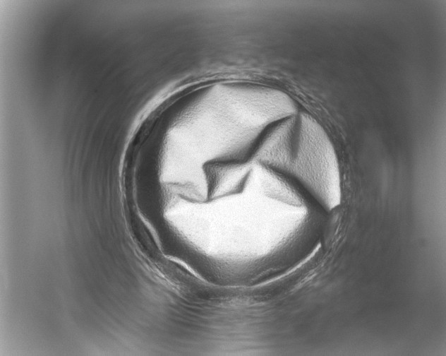 X0000052930246200508050837