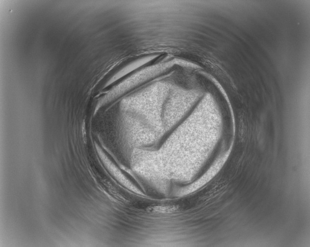 X0000052930251200508050837