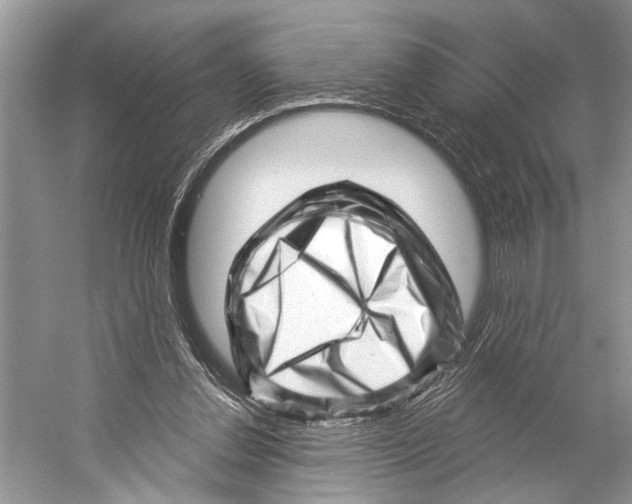 X0000052930252200508050837
