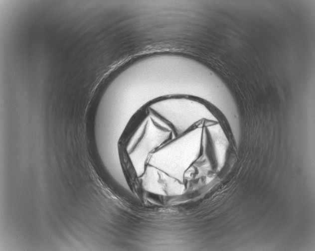 X0000052930256200508050837