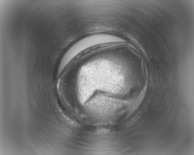 X0000052930257200508050837