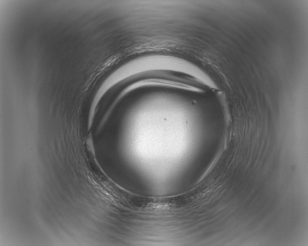 X0000052930260200508050837
