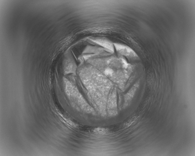 X0000052930261200508050837