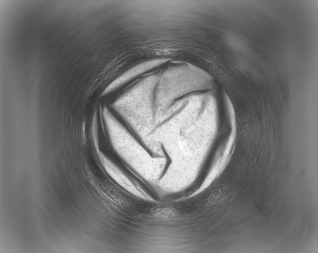 X0000052930262200508050837