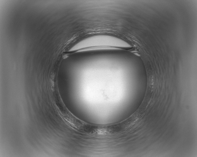 X0000052930264200508050837