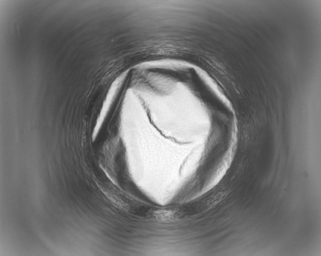 X0000052930265200508050837