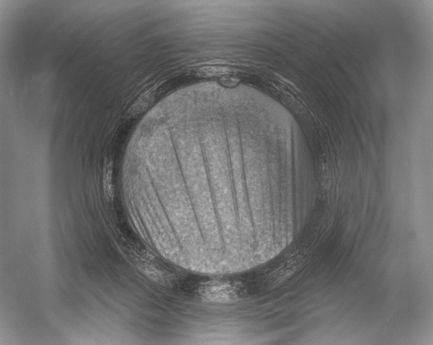 X0000052930267200508050837