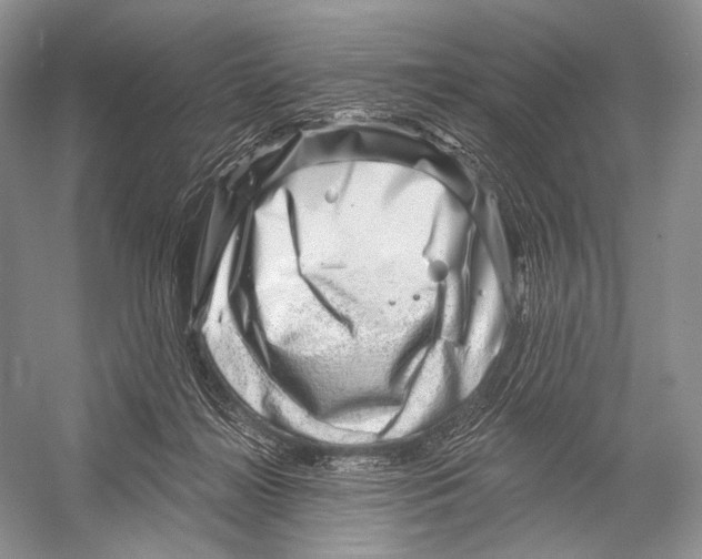 X0000052930268200508050837