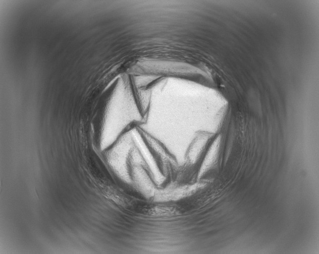 X0000052930270200508050837