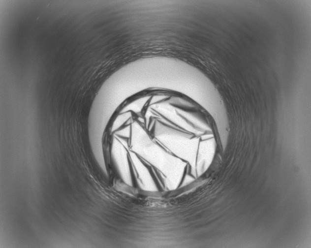 X0000052930272200508050837