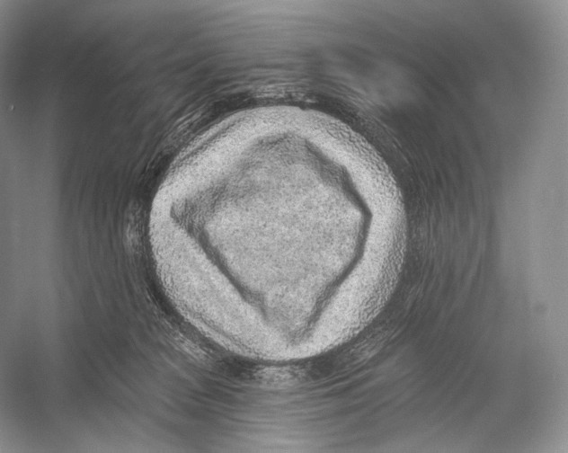X0000052930277200508050837