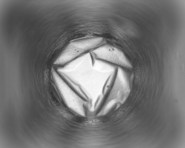 X0000052930278200508050837
