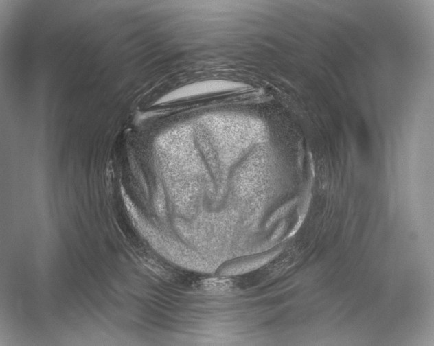 X0000052930279200508050837
