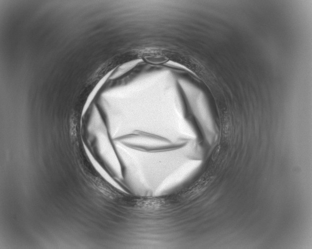 X0000052930282200508050837