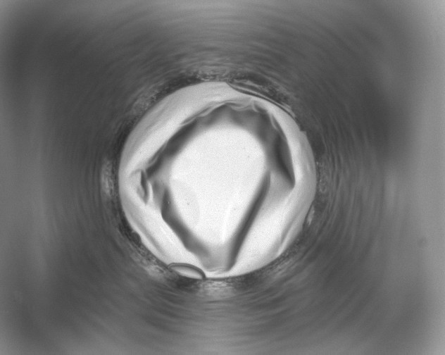 X0000052930287200508050837