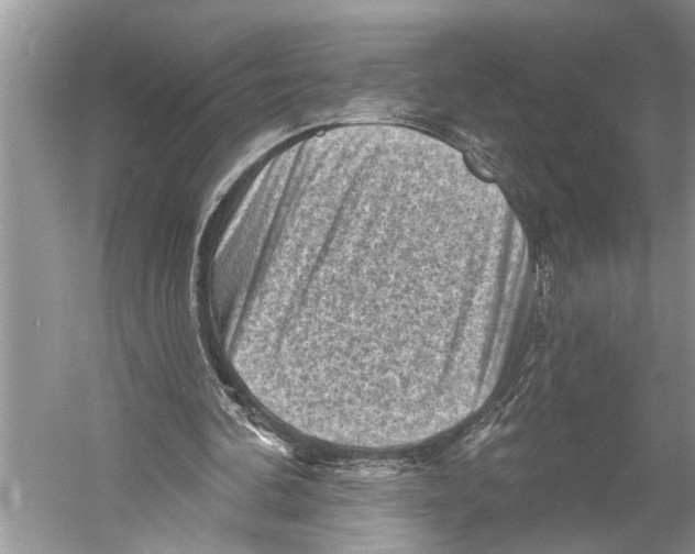 X0000052930292200508050837