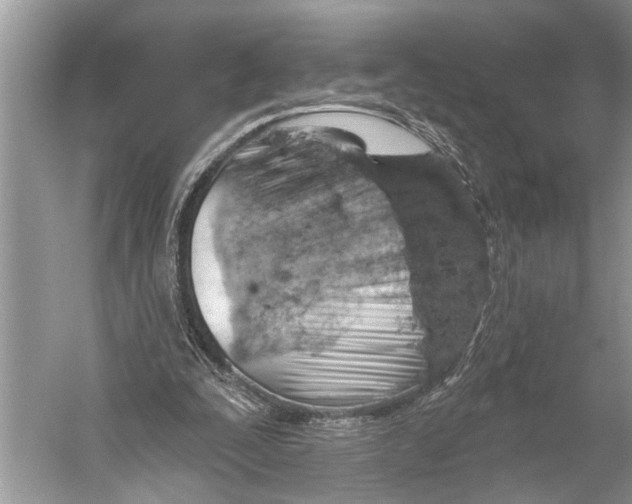 X0000052930295200508050837