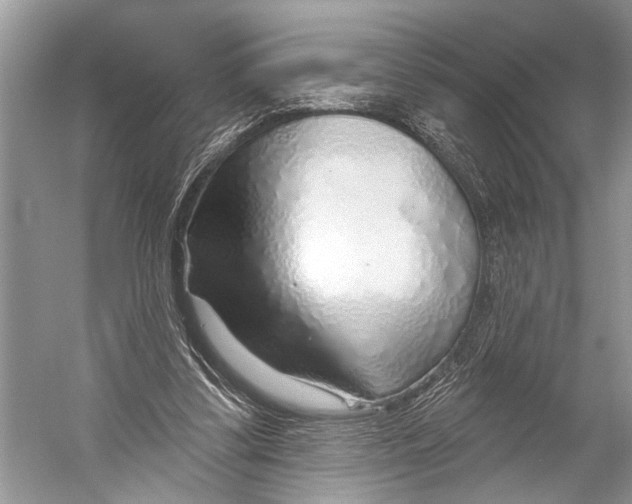 X0000052930299200508050836