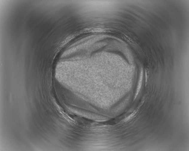 X0000052930301200508050836