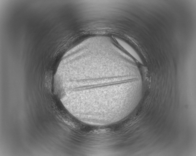 X0000052930307200508050836