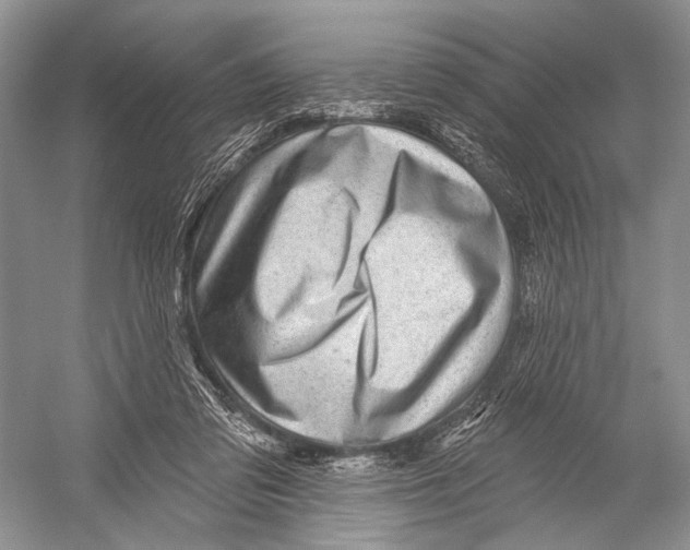 X0000052930309200508050836
