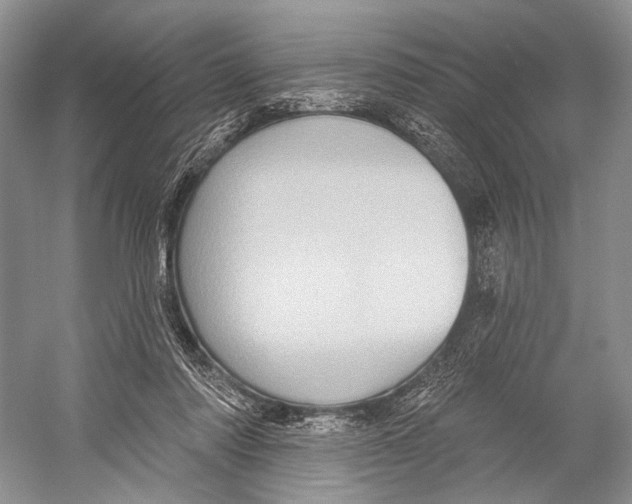 X0000052930310200508050836