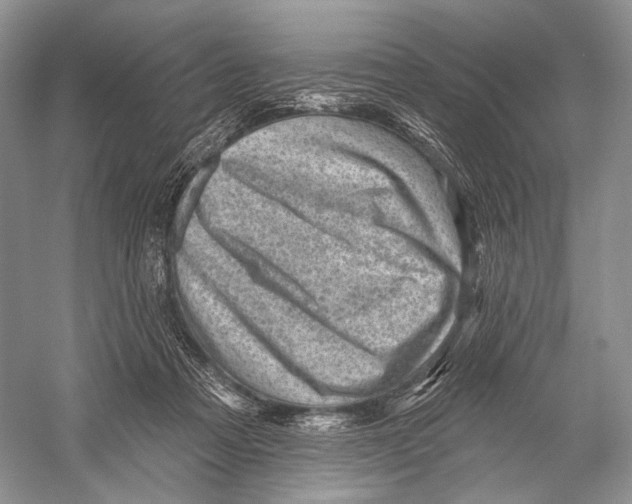 X0000052930313200508050836