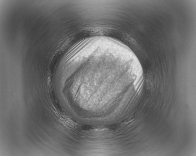 X0000052930314200508050836
