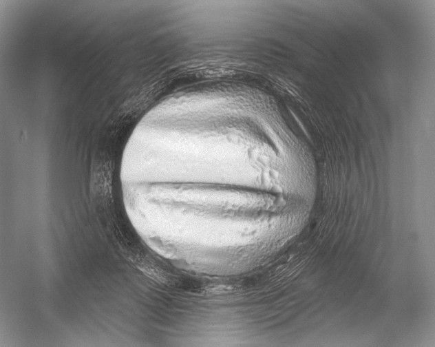 X0000052930315200508050836