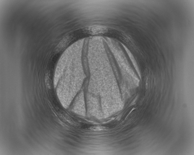 X0000052930316200508050836