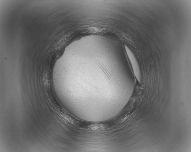 X0000052930317200508050836