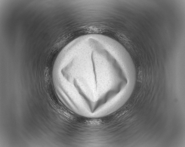 X0000052930318200508050836