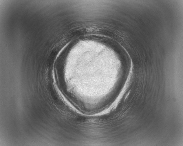 X0000052930319200508050836