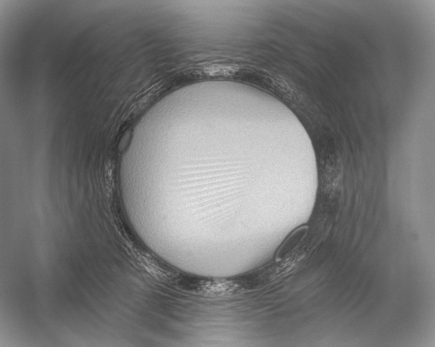 X0000052930321200508050836